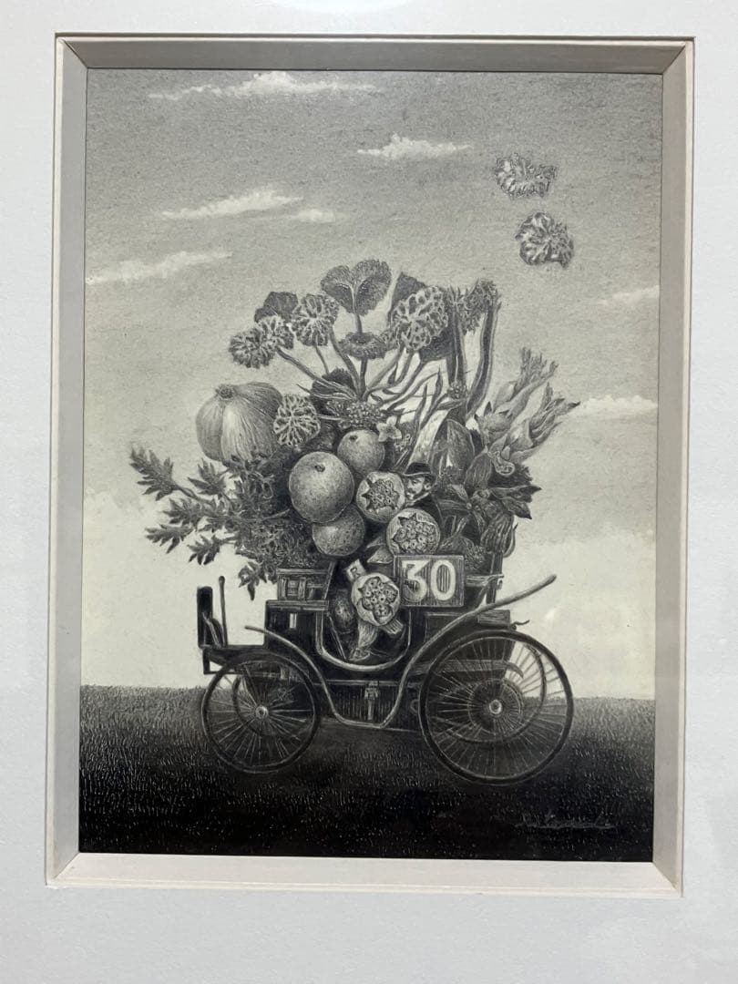 世界に一品 鉛筆画の異才 河内良介作品「薬草採集」 - メルカリ