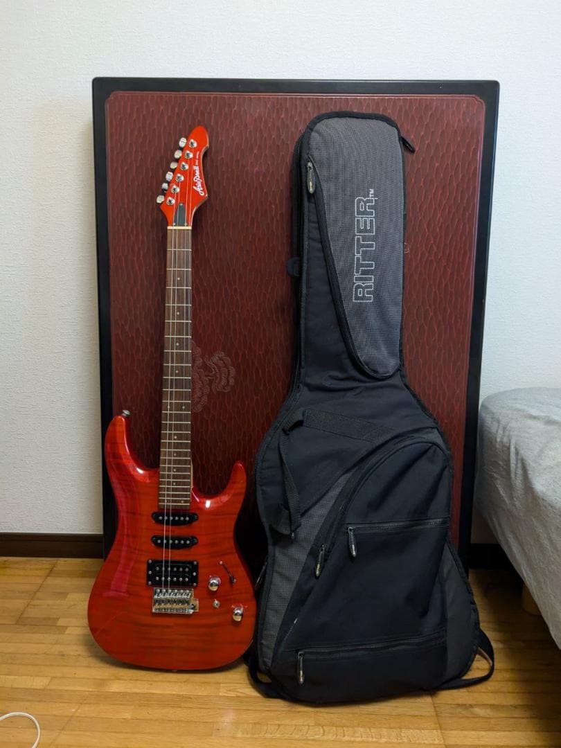 Aria Pro II エレキギター と RITTER ギターケース トップ