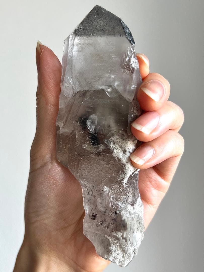 美超希少✨AAAAブラックファントムレムリアン✨天界のホワイトガーデンピュアレイ