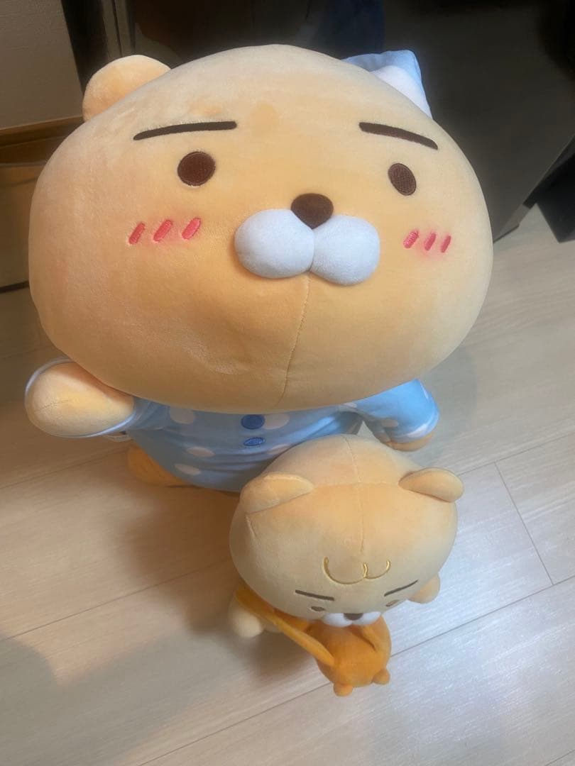 3点セット カカオプレンズ商品まとめ、ライアン