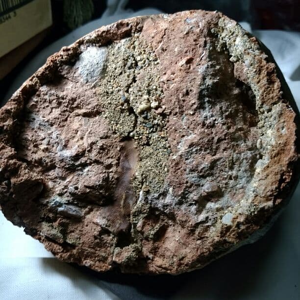 本物保証 恐竜ハドロサウルスの卵化石 絶品美肌の美品卵 極上カバー率