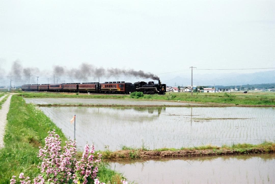 実写確認済整備品】フォクトレンダーVITOⅡa／カラースコパー50mmf3.5
