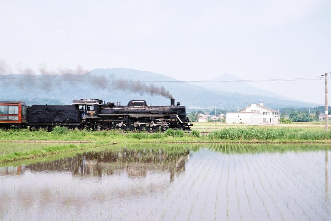 実写確認済整備品】フォクトレンダーVITOⅡa／カラースコパー50mmf3.5