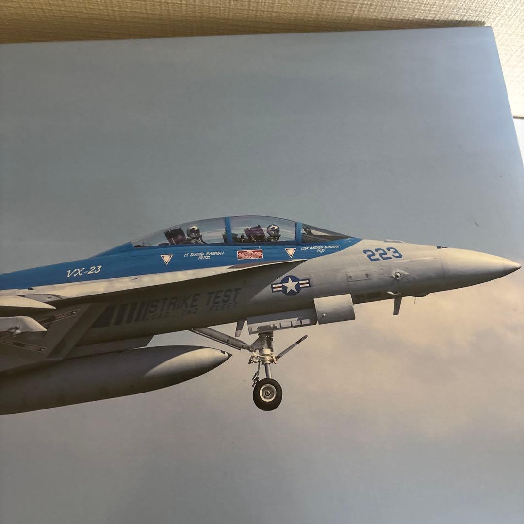 ハセガワ1/48 アメリカ海軍 F/A-18F スーパーホーネット VX-23