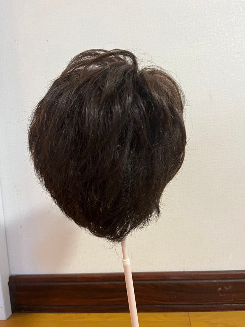 【最終割引‼️】レディースショートウィッグ