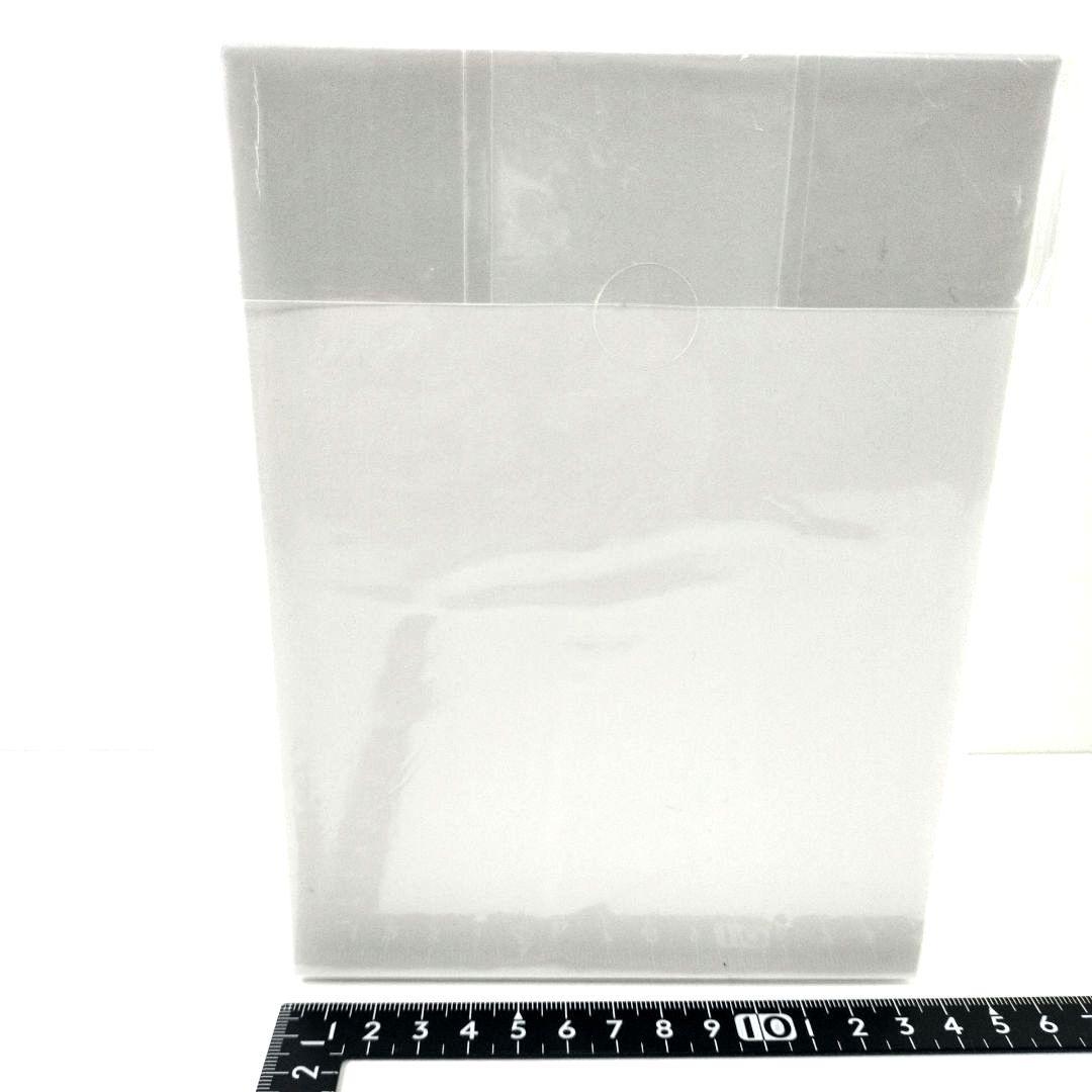 未開封 竹尾 takeo PEPET ペペット 手乗りペット カラー グァバ 紙の