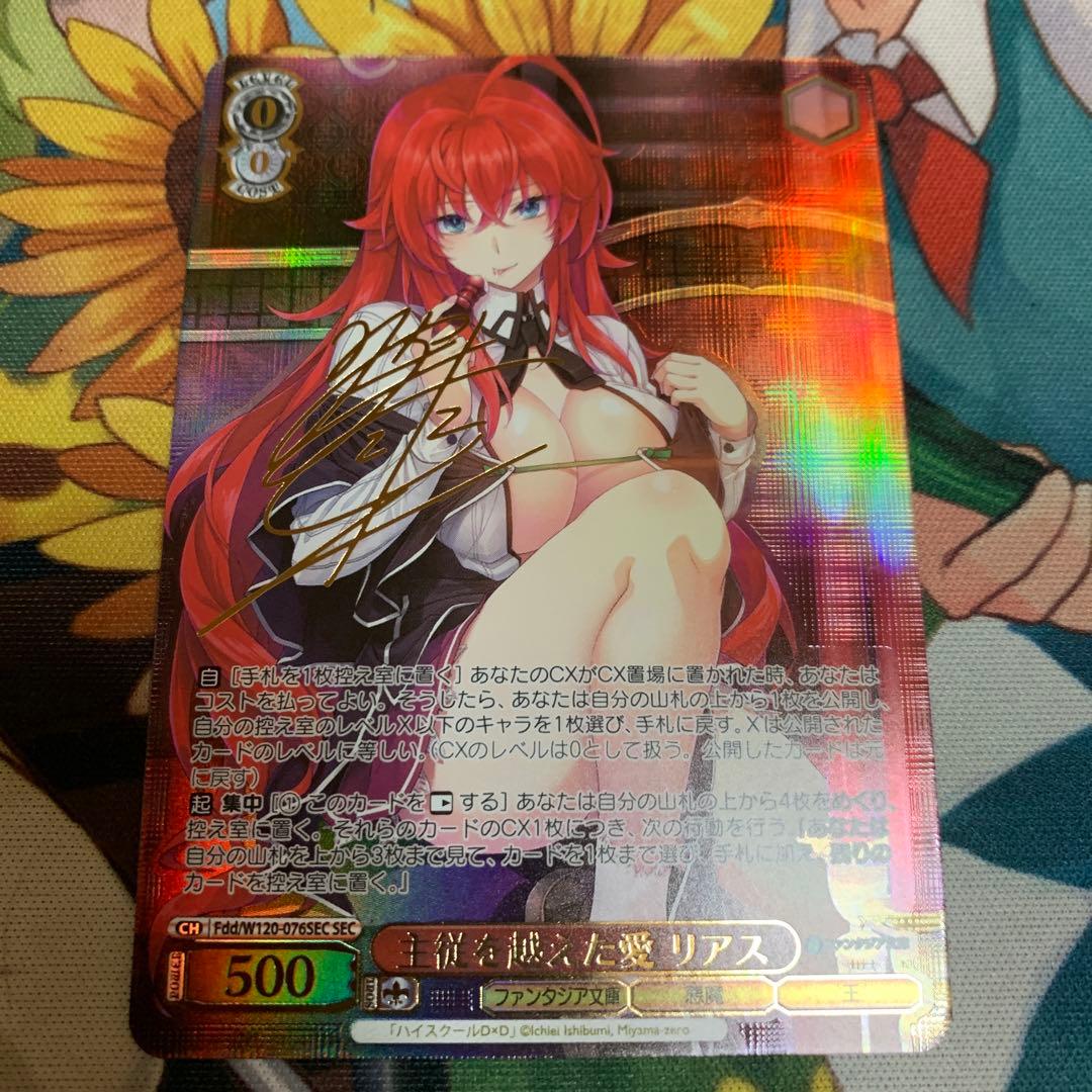 ヴァイス/富士見ファンタジア文庫/SEC/サイン/主従を越えた愛 リアス