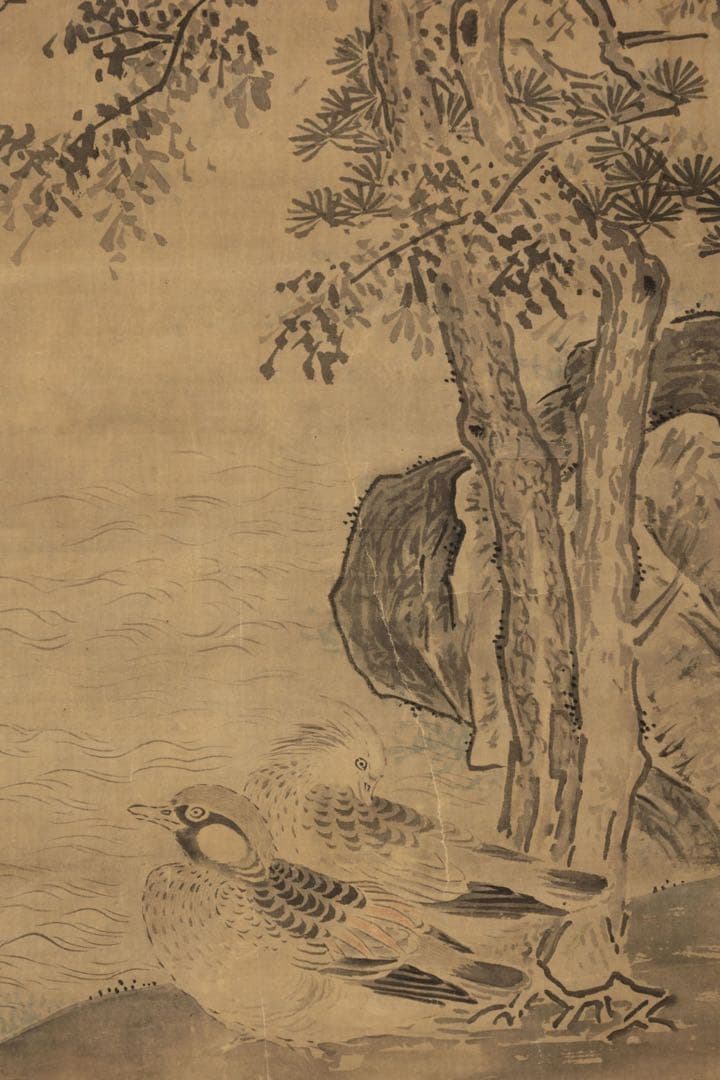 中国の古畫墨鴛鴦