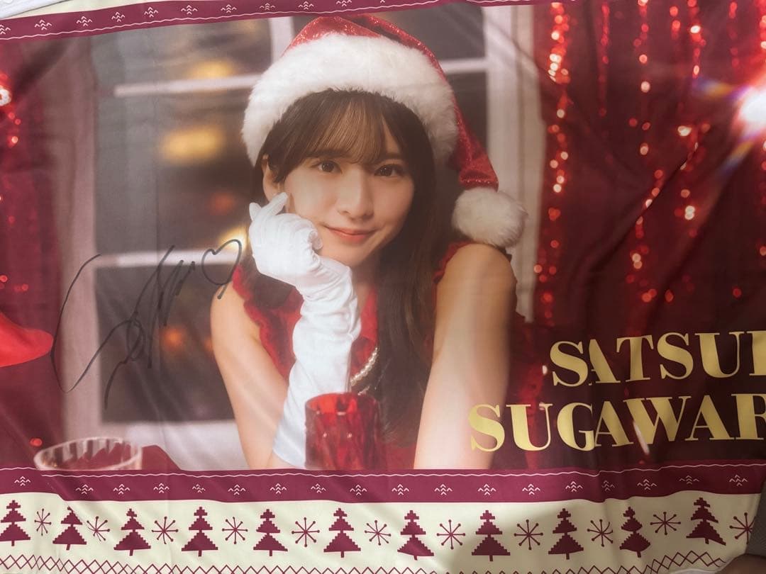 乃木坂46 乃木フェス 菅原咲月サイン　フード付きクリスマスタオル 直筆 乃木坂46 乃木フェス 菅原咲月サイン フード付きクリスマスタオル 直筆