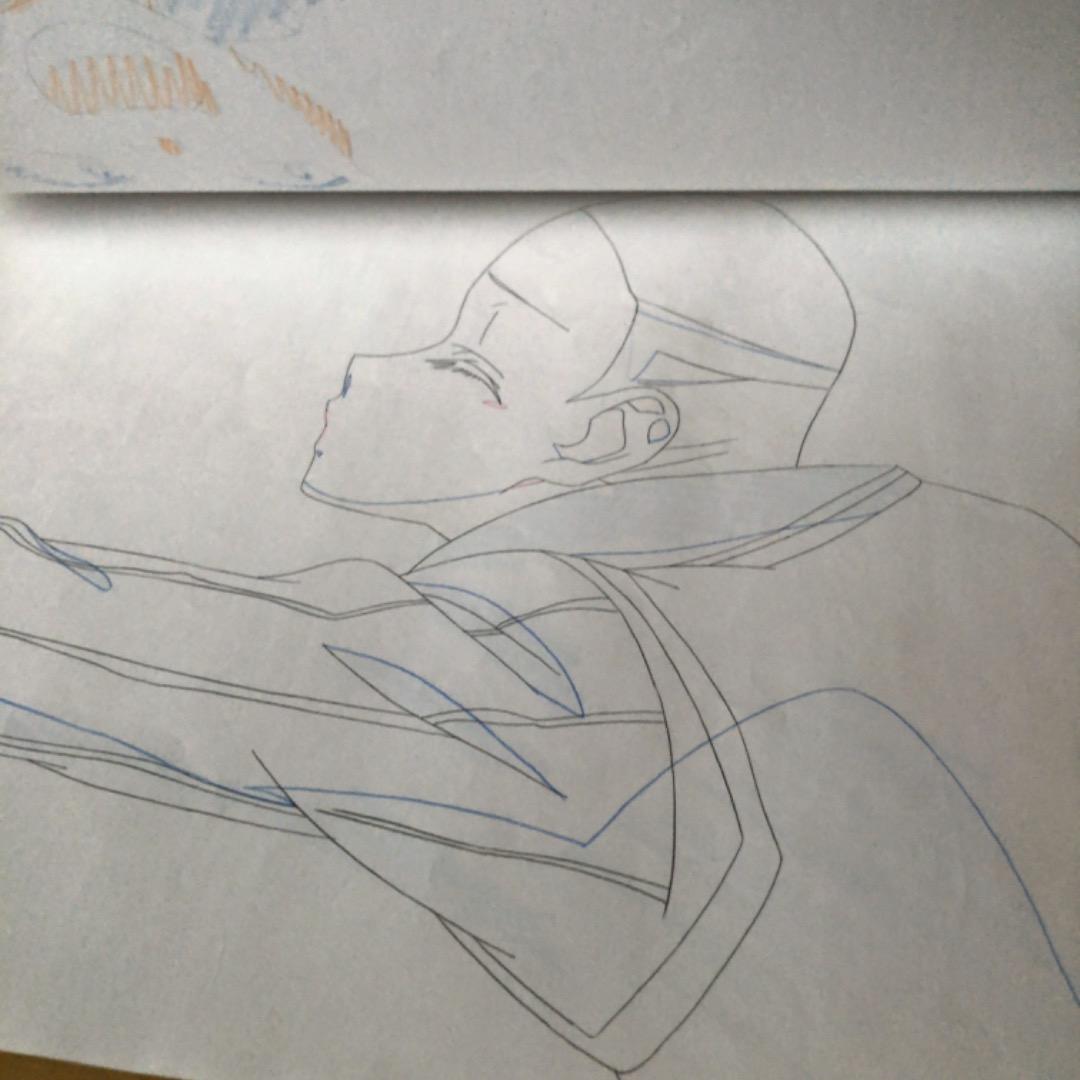 大判　生動画　生原画　タイムシート　セット　ハイスクールD×D　約44枚