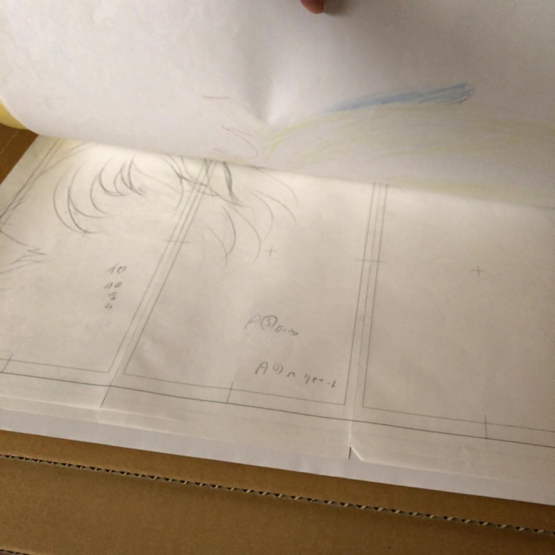 大判　生動画　生原画　タイムシート　セット　ハイスクールD×D　約44枚