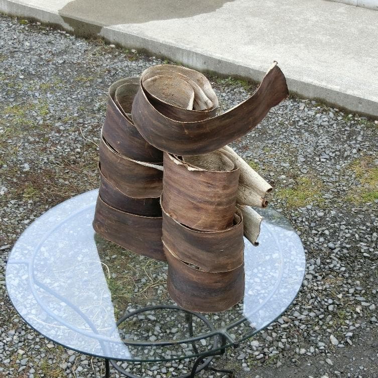 kico 胡桃 くるみ クルミ 皮 樹皮 約5kg