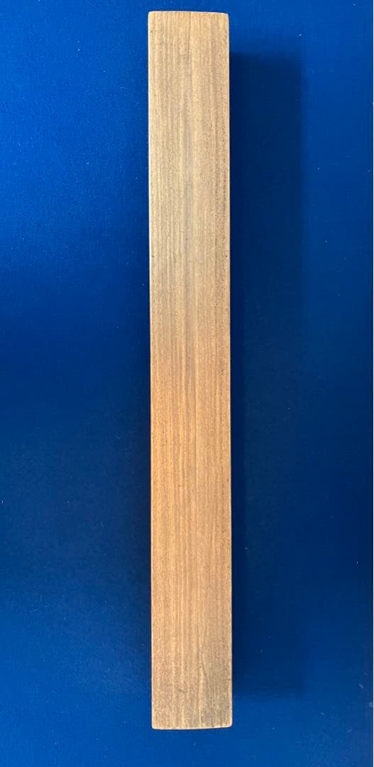 渡辺崋山【花鳥図】絹本 掛軸（江戸・武士・三河国 田原藩士） 渡辺