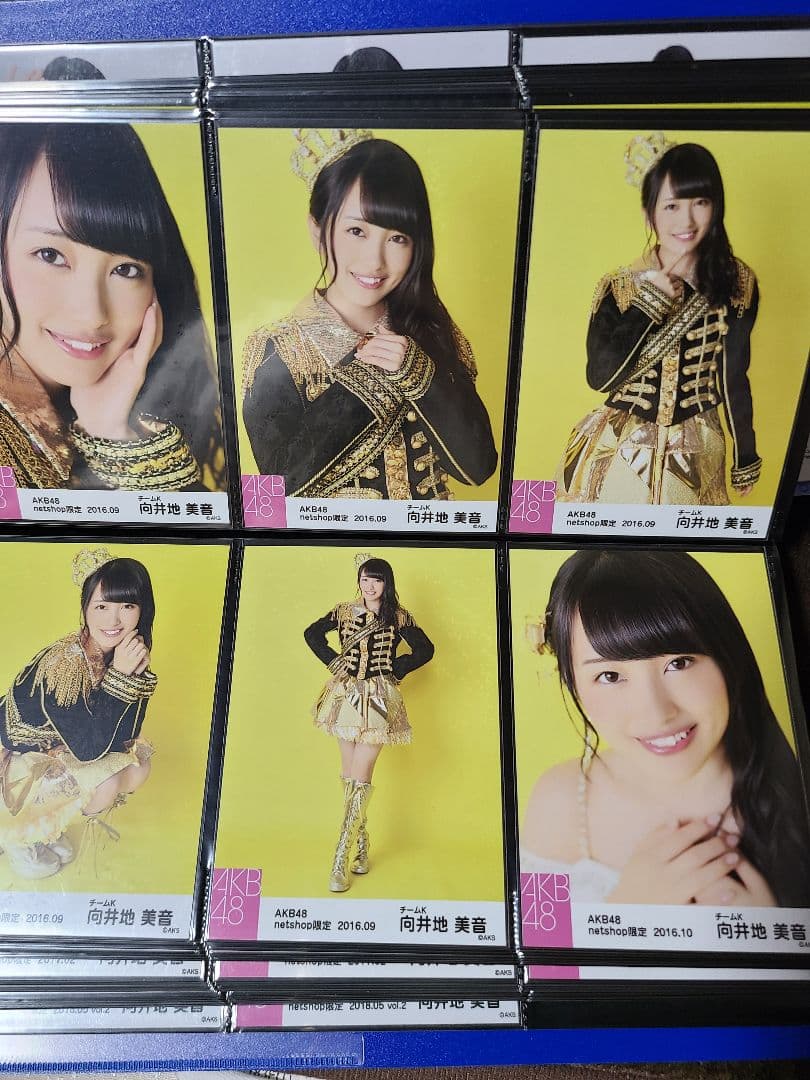 向井地美音 個別