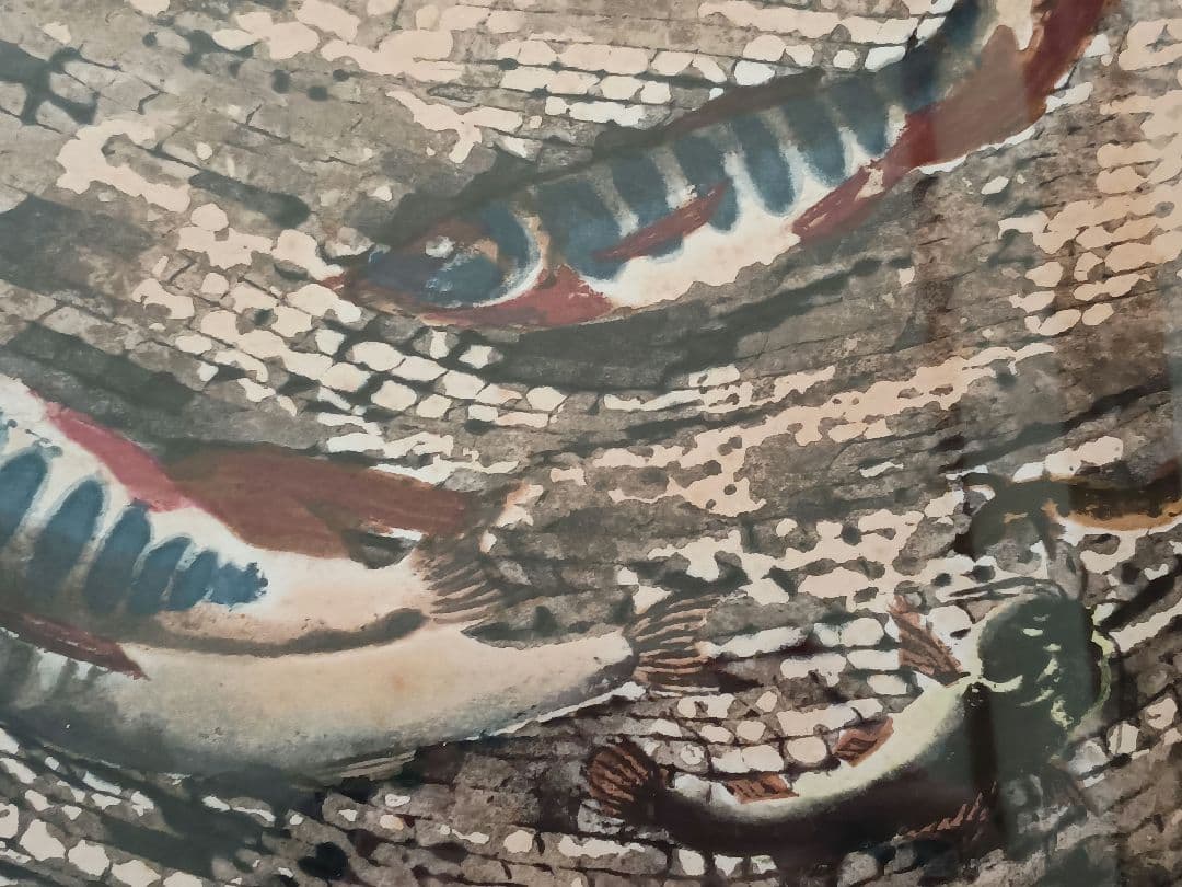 版画家 山口進 ［いわな 版画］ - メルカリ