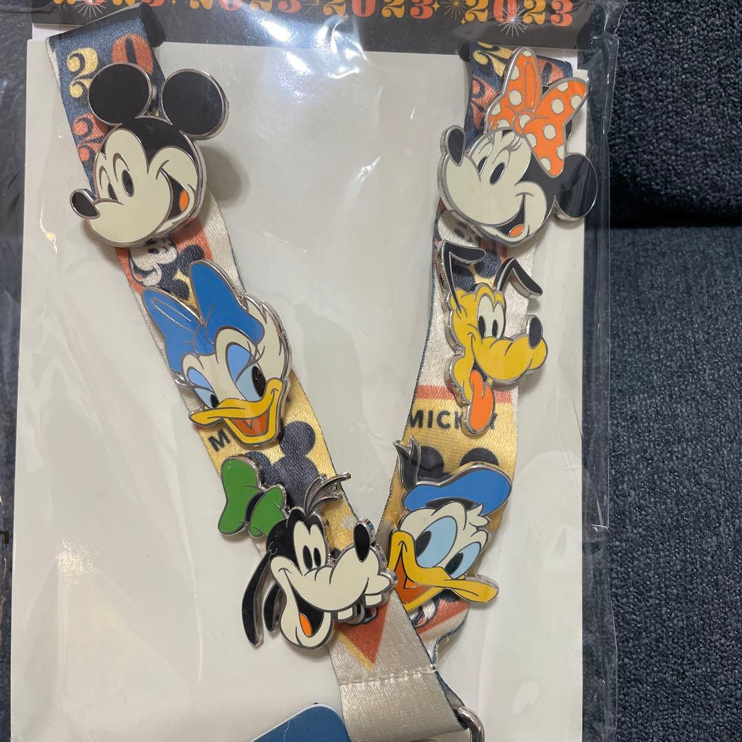 ピンバッジ カード入れ ストラップ ディズニーランドパリ2023（12/17処分