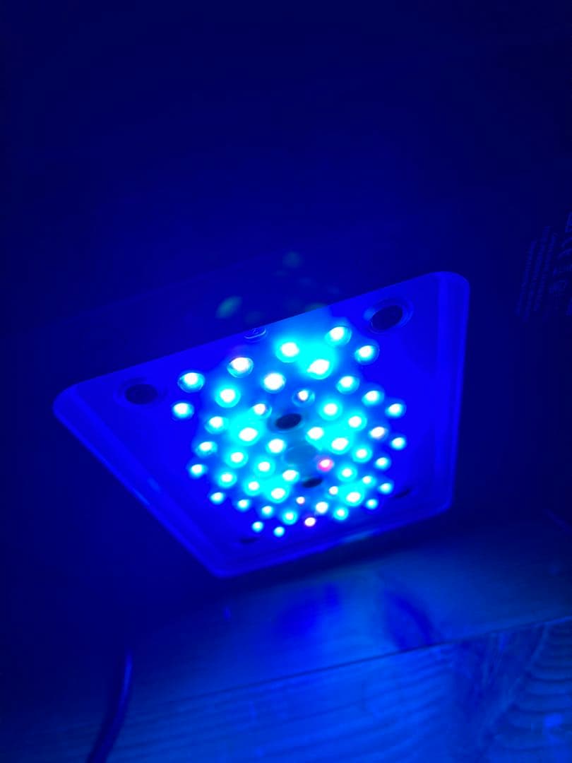 ラディオン G5 radonG5 XR15 blue 専用アーム付き エコテックマリン