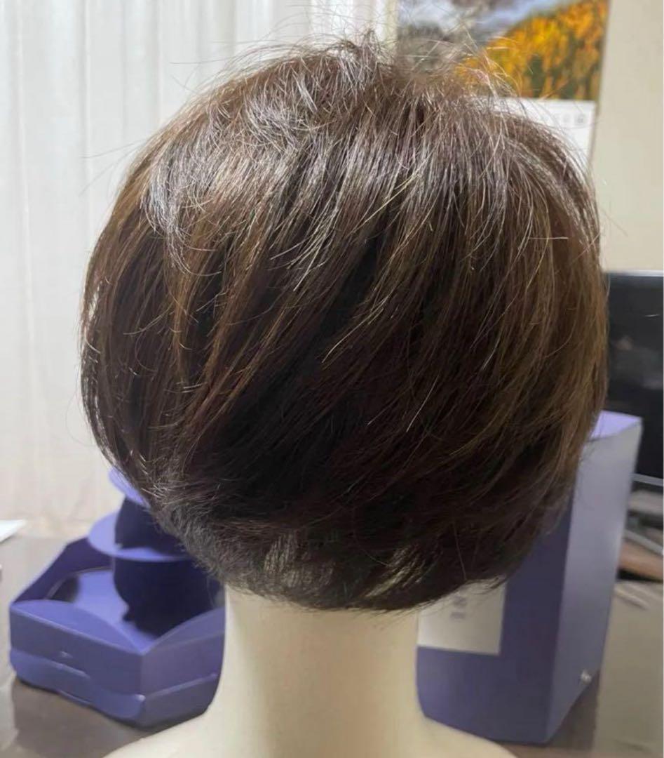 アデランス フォンテーヌ バランプレミアム 栗色 ハーフウィッグ 未使用に近い