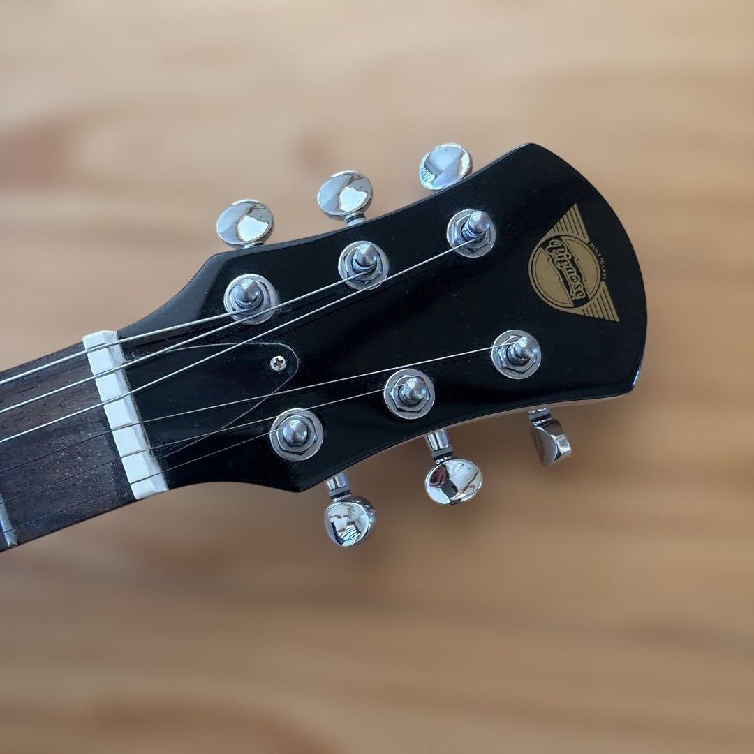 Pignose ギター シースルーブラック (ソフトケース付き)