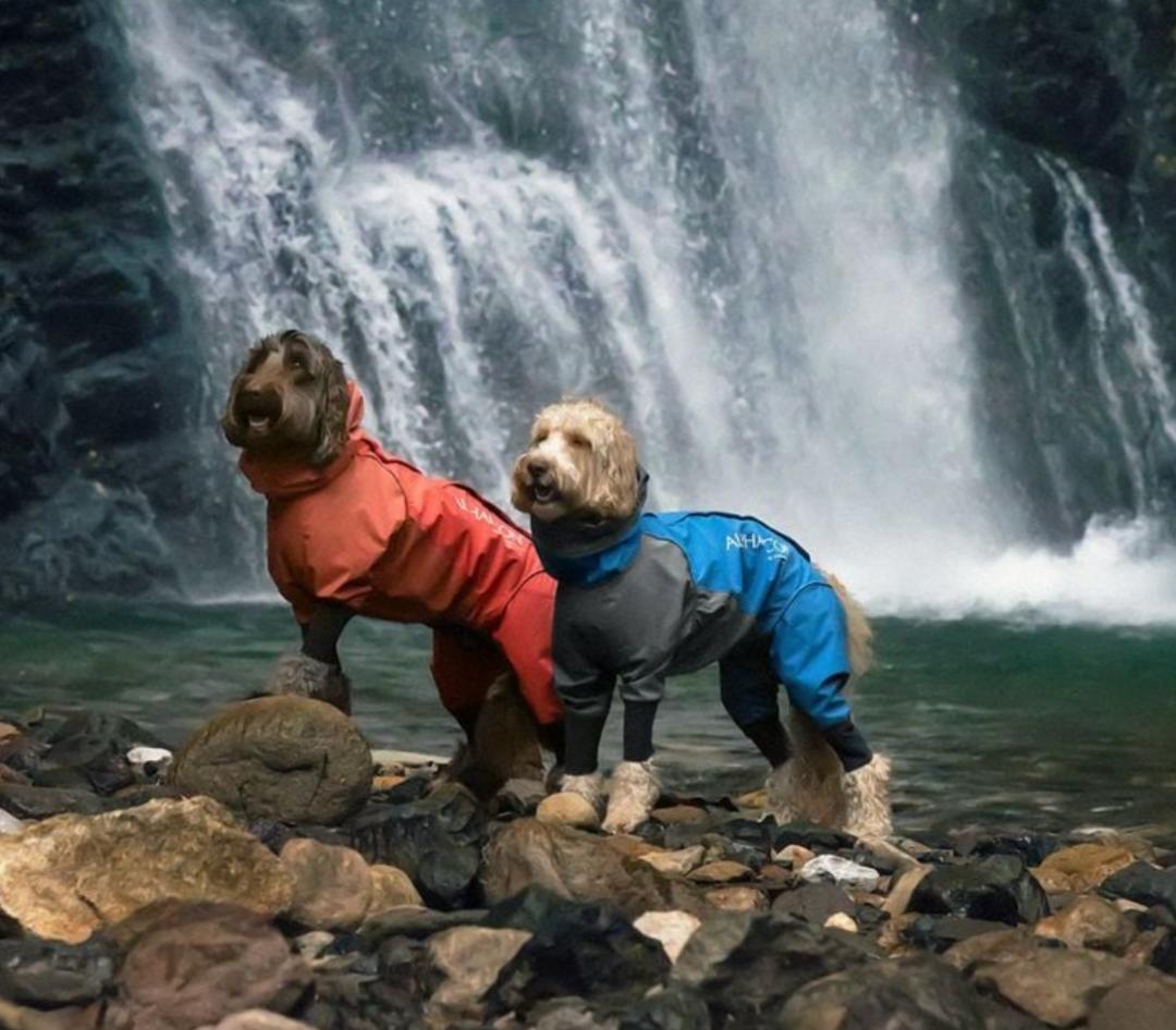 LL】レインドッグガード ALPHAICON アルファアイコン