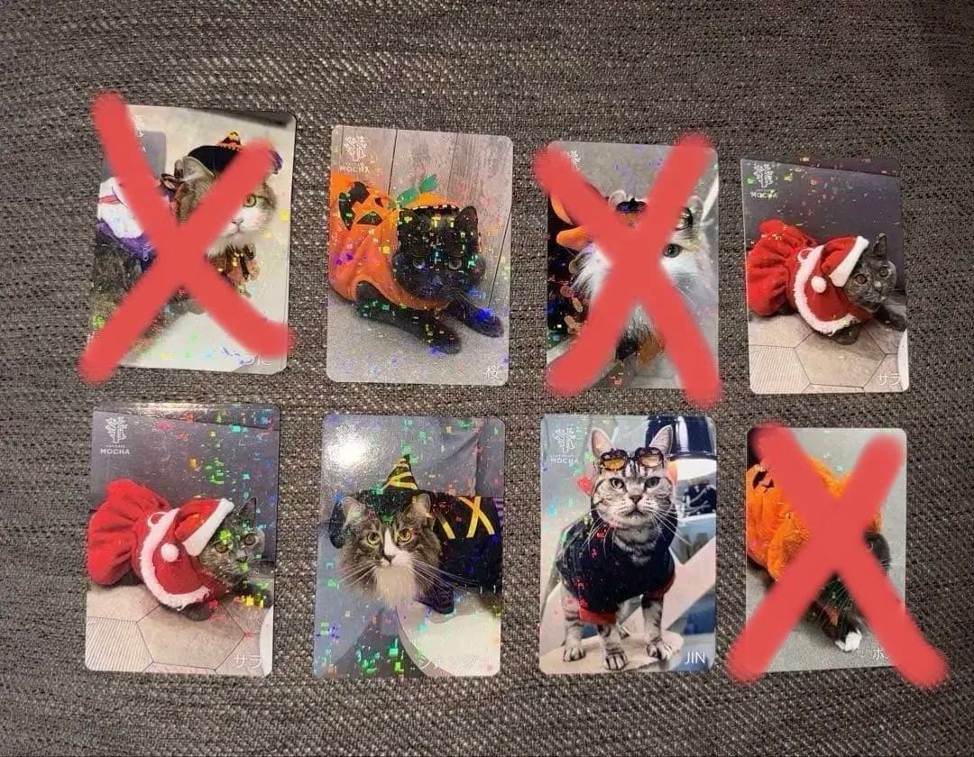 【バラ売り可】にゃんずトレカ町田ジョルナ店 2024