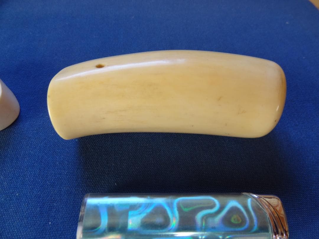 クジラ歯　セイウチ牙　海象　輪切　牙材　天然素材　希少