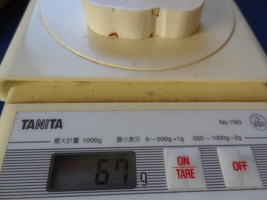 クジラ歯　セイウチ牙　海象　輪切　牙材　天然素材　希少