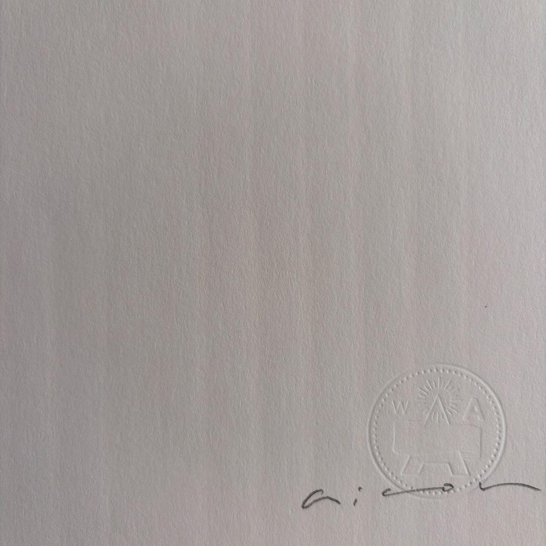 aicon works シルクスクリーン Flower アイコン XG - メルカリ