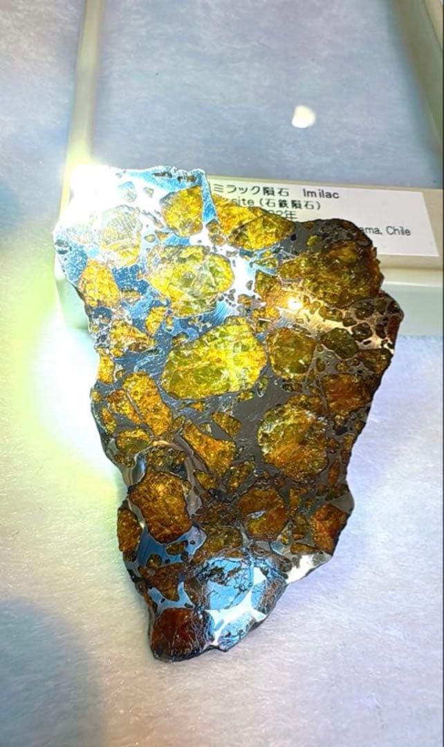 【存在感が段違い】28.0g イミラックパラサイト隕石標本（東京サイエンス購入）