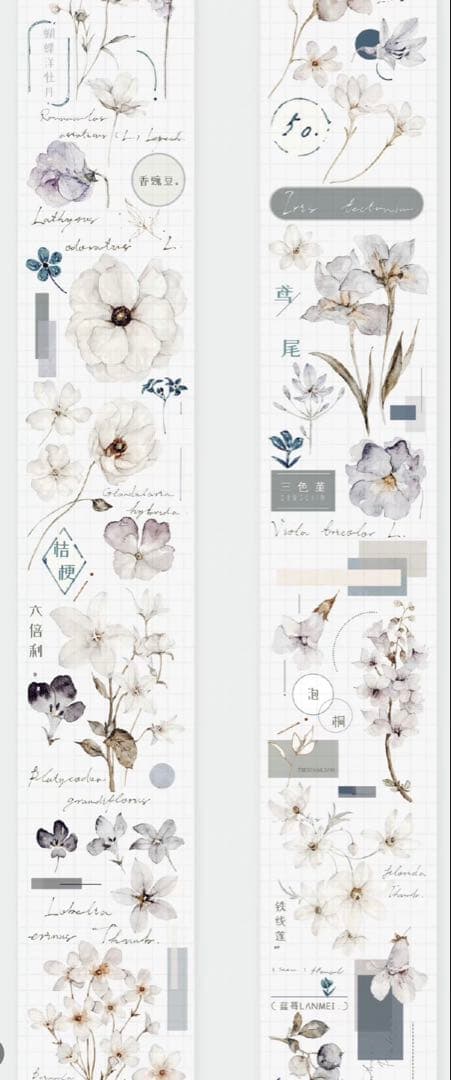 《在庫処分最終値下げ》海外 マスキングテープ雀斑茶 6点⚠️pet（33.324