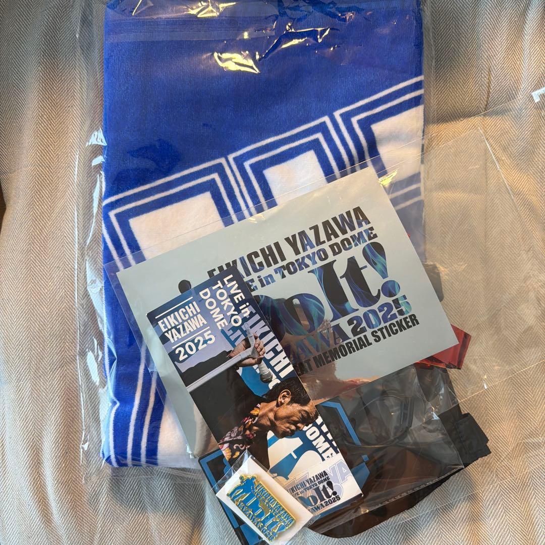 矢沢永吉 2025 東京ドーム PSS席 非売品 限定グッズ タオルその他