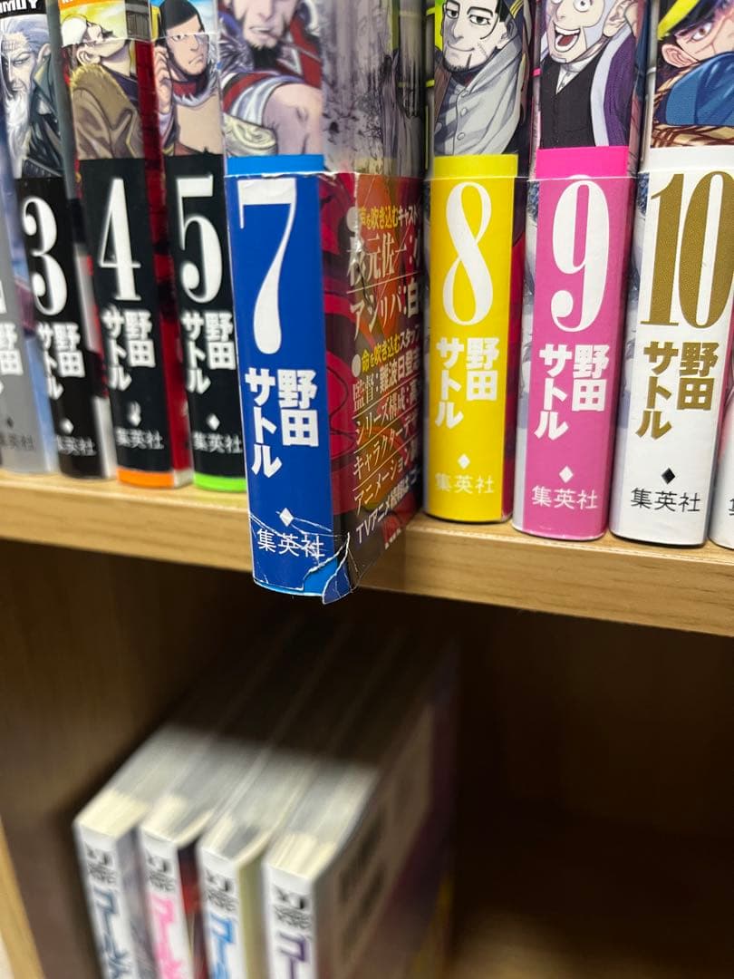 ゴールデンカムイ 1巻から29巻まで