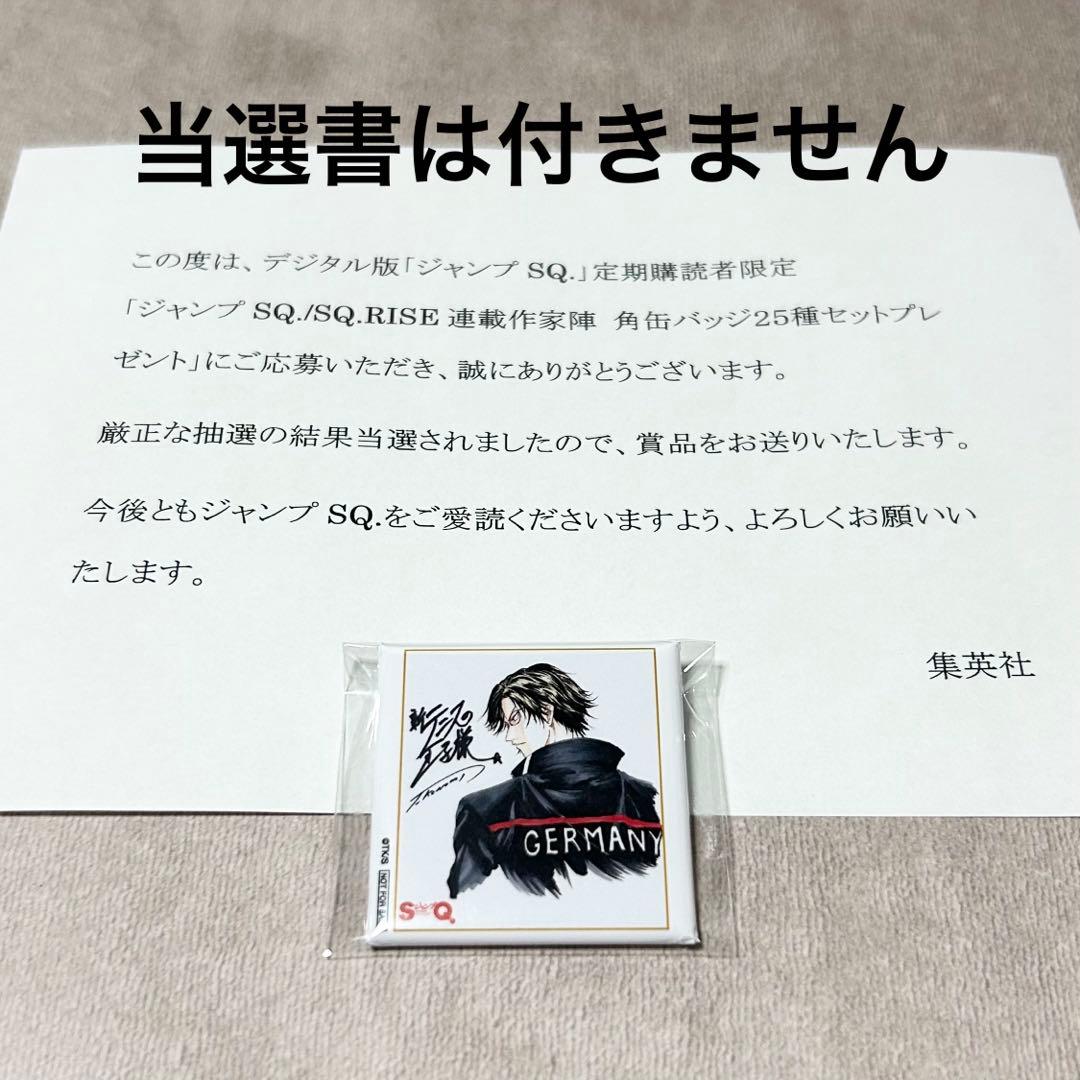 ジャンプSQ定期購読者限定角缶バッジ16個セット当選品