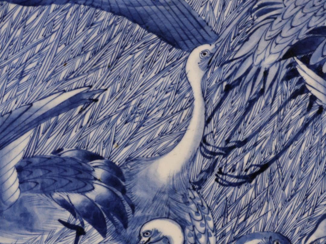 BK266　江戸期　古伊万里　大明成化年製銘　古染付郡鷺文様　大皿　1尺7寸