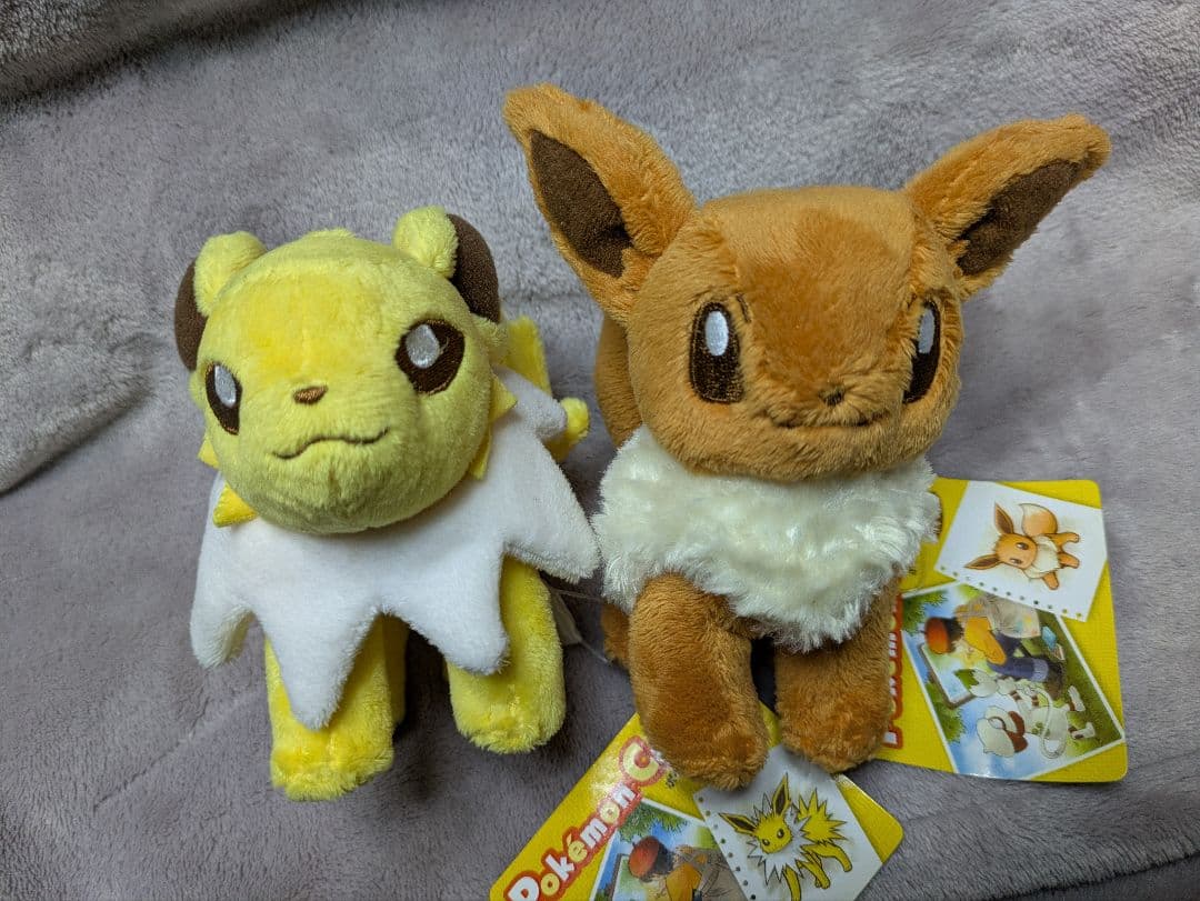 ポケモンセンター限定 ポケモンキャンパス マスコット ブイズ