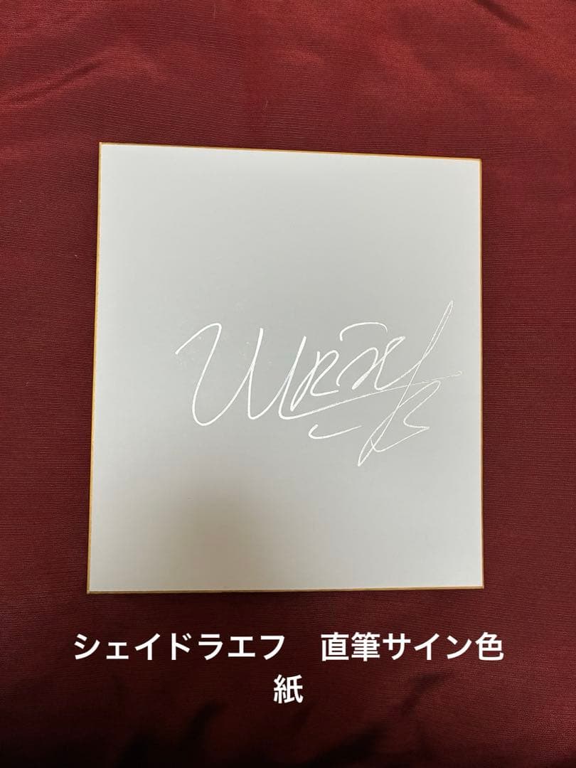 RIZIN ラジャブアリ・シェイドゥラエフ 直筆サイン色紙 銀ペンver