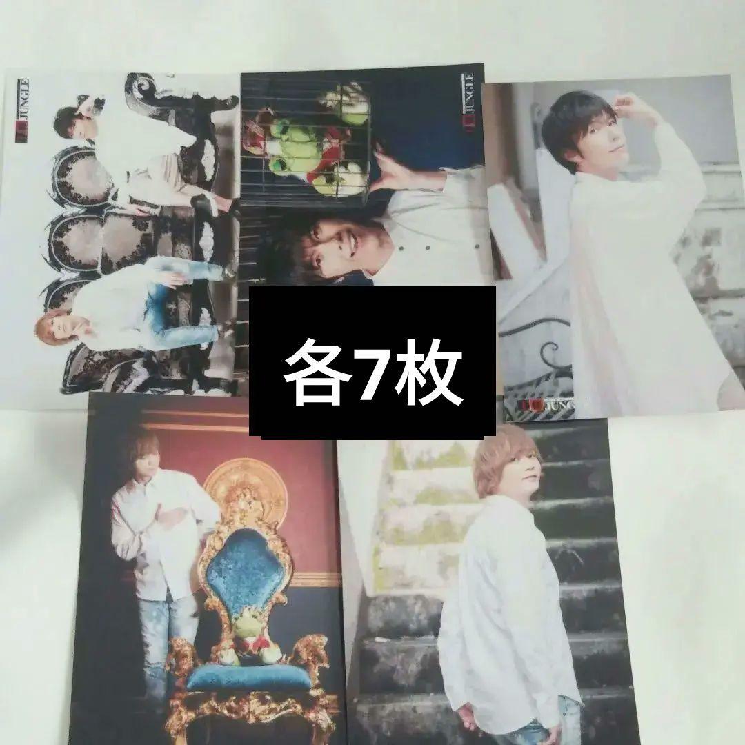 王様ジャングル 追加ブロマイド 浅沼晋太郎 セット