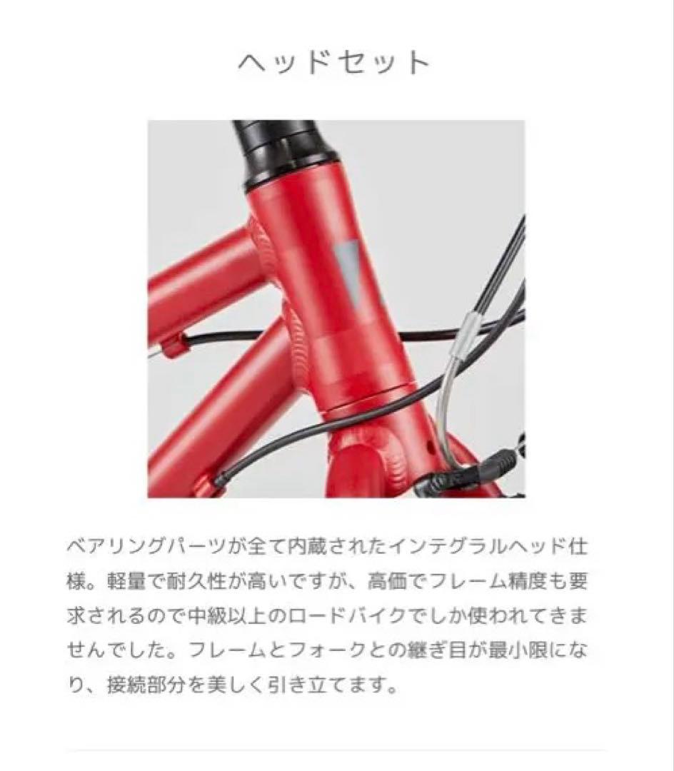 RITEWAY キッズ自転車 20インチ 青