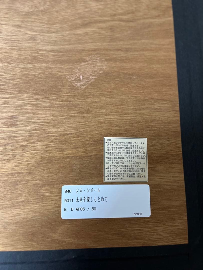 希少価値の黒豹】シムシメール 「未来を探し求めて」美品 ジークレー