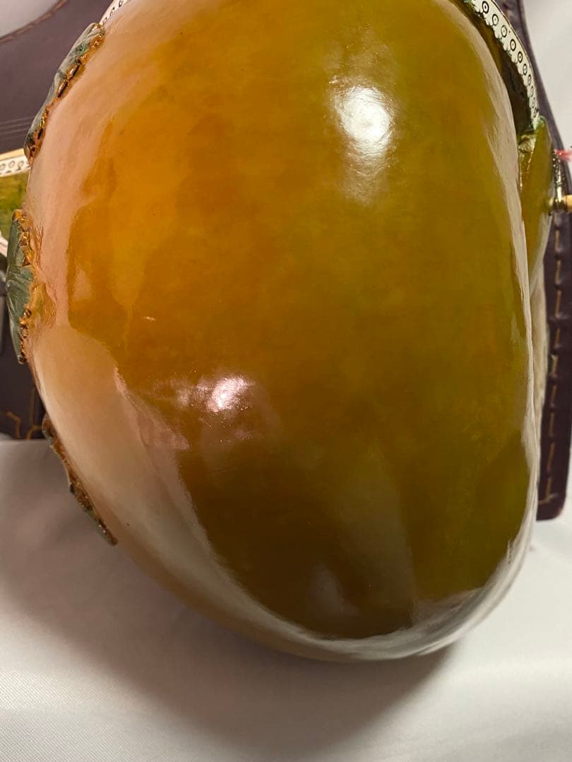 2470❣️ シータル　インド楽器