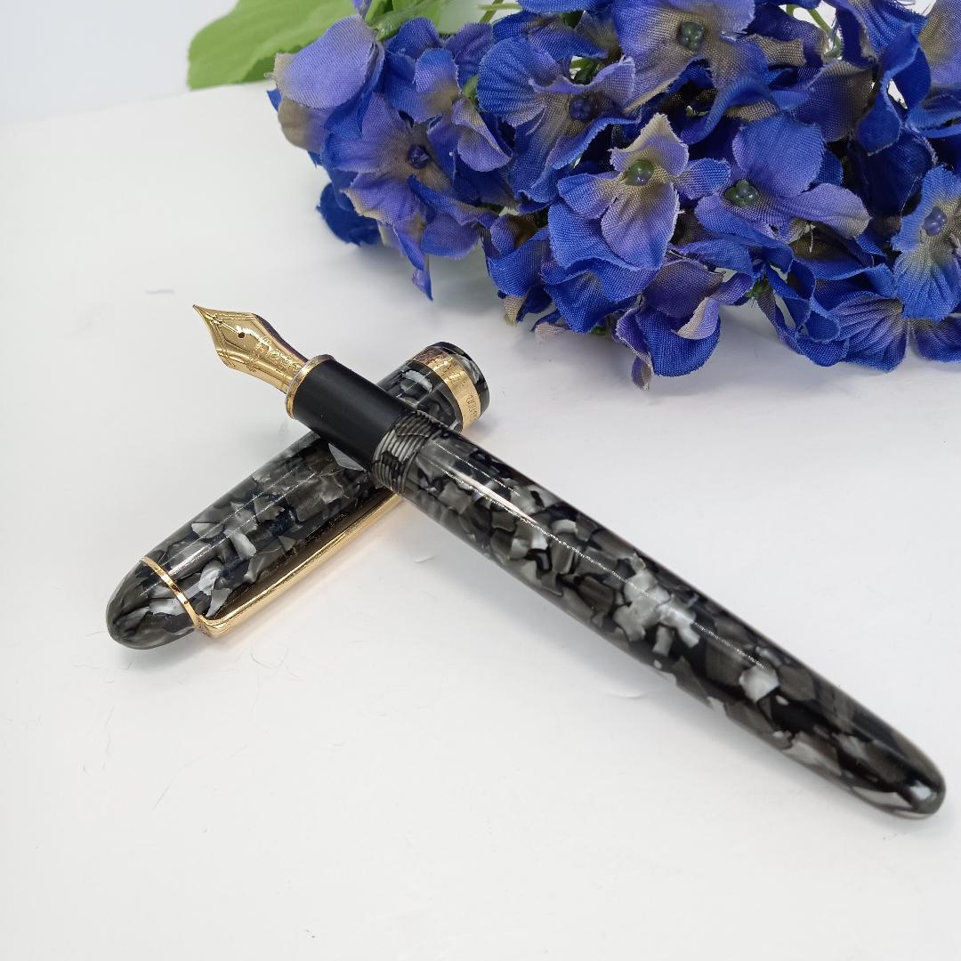 稀少 PLATINUM プラチナ 14K 万年筆 ブラック 3776 マーブル