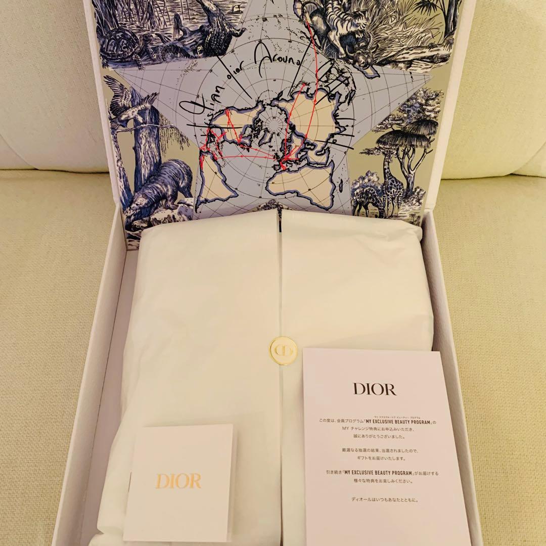 Dior マイチャレンジ パズル 2026年最新】Christian Dior ジグソーパズルの人気アイテム - メルカリ