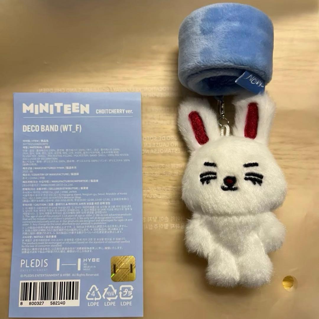 SEVENTEEN セブチ MINITEEN エスクプス デコバンド