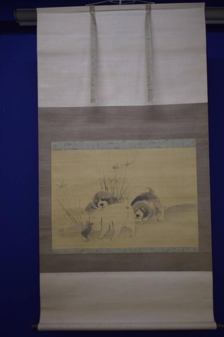 不詳/作者不詳/仔犬図/子犬図/干支図/布袋屋掛軸HJ-10