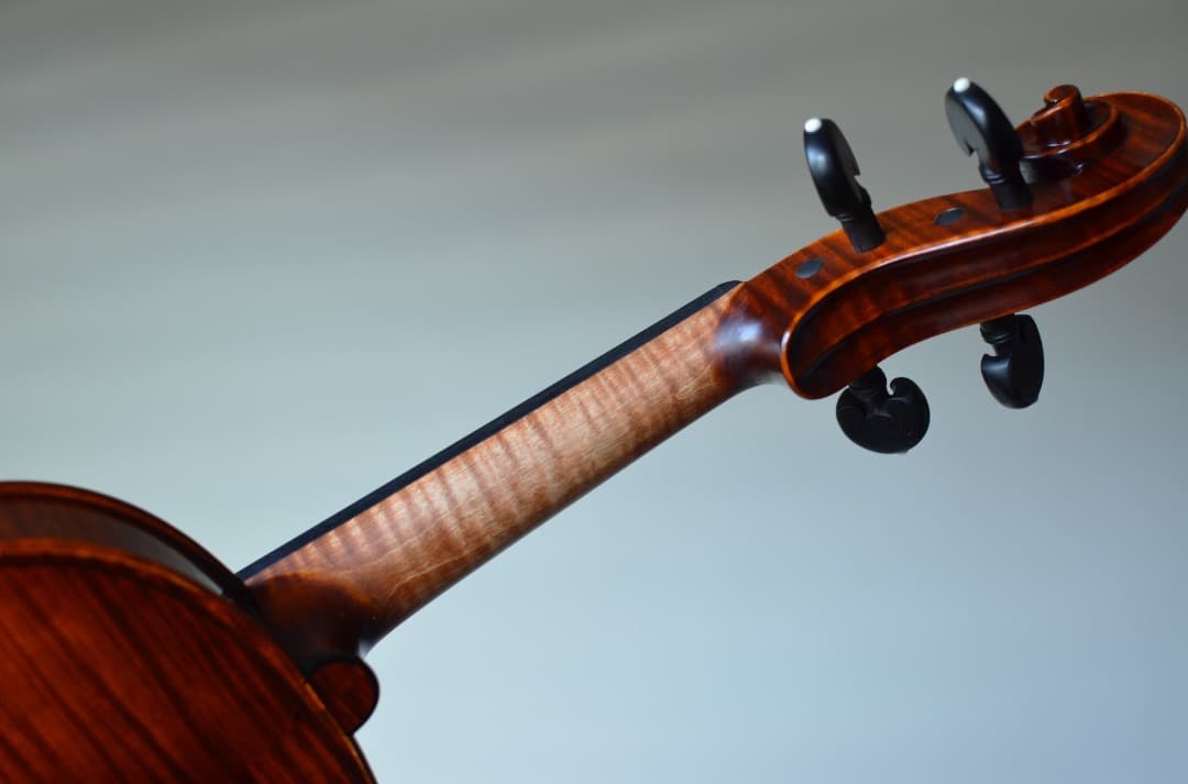 【新品】Gliga Cristian Maestro 4/4 そうちゃん