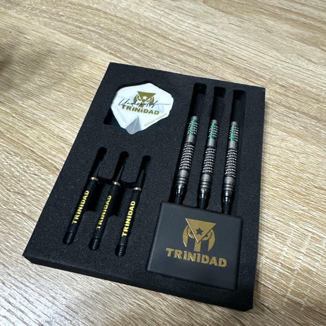 ア*じ様 TRINIDAD Ricardo Type 2 ダーツセット
