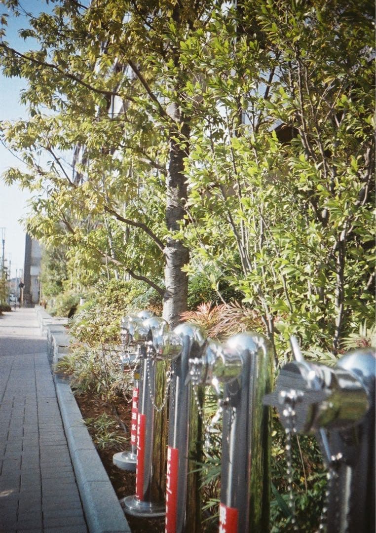 動作確認・清掃済み＊試写あり】リコーオートハーフE