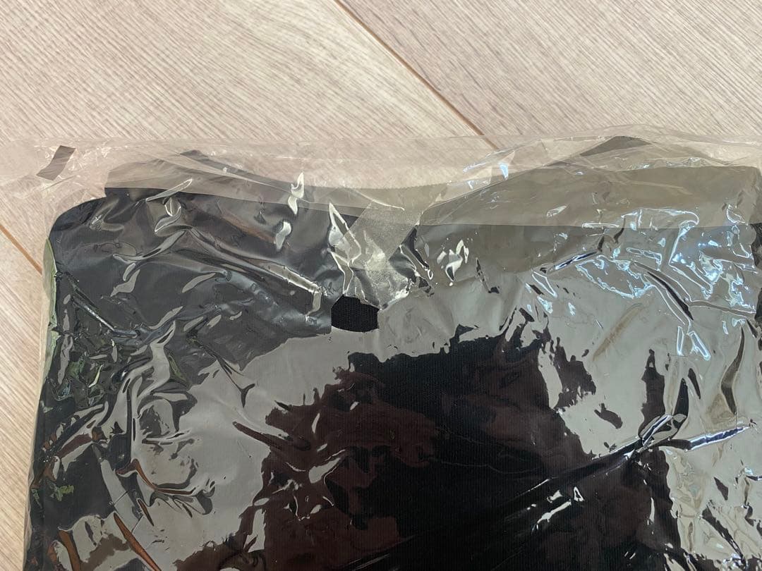 BUCK-TICK BIG Tシャツ L 異空 ALTERNATIVE SUN