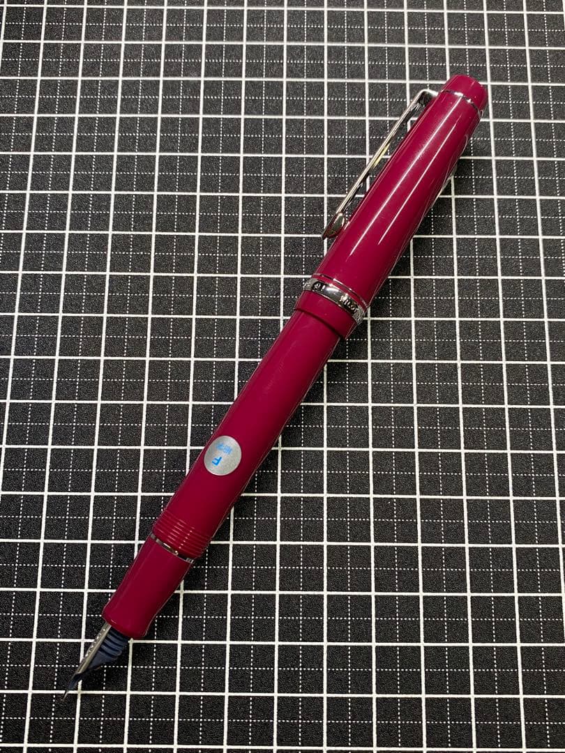PILOT CUSTOM HERITAGE91 YAMABUDO 万年筆 字幅F