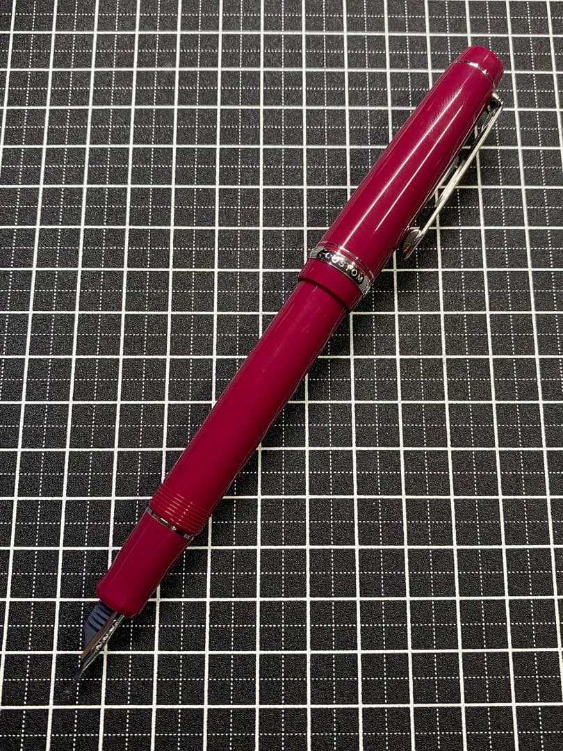 PILOT CUSTOM HERITAGE91 YAMABUDO 万年筆 字幅F